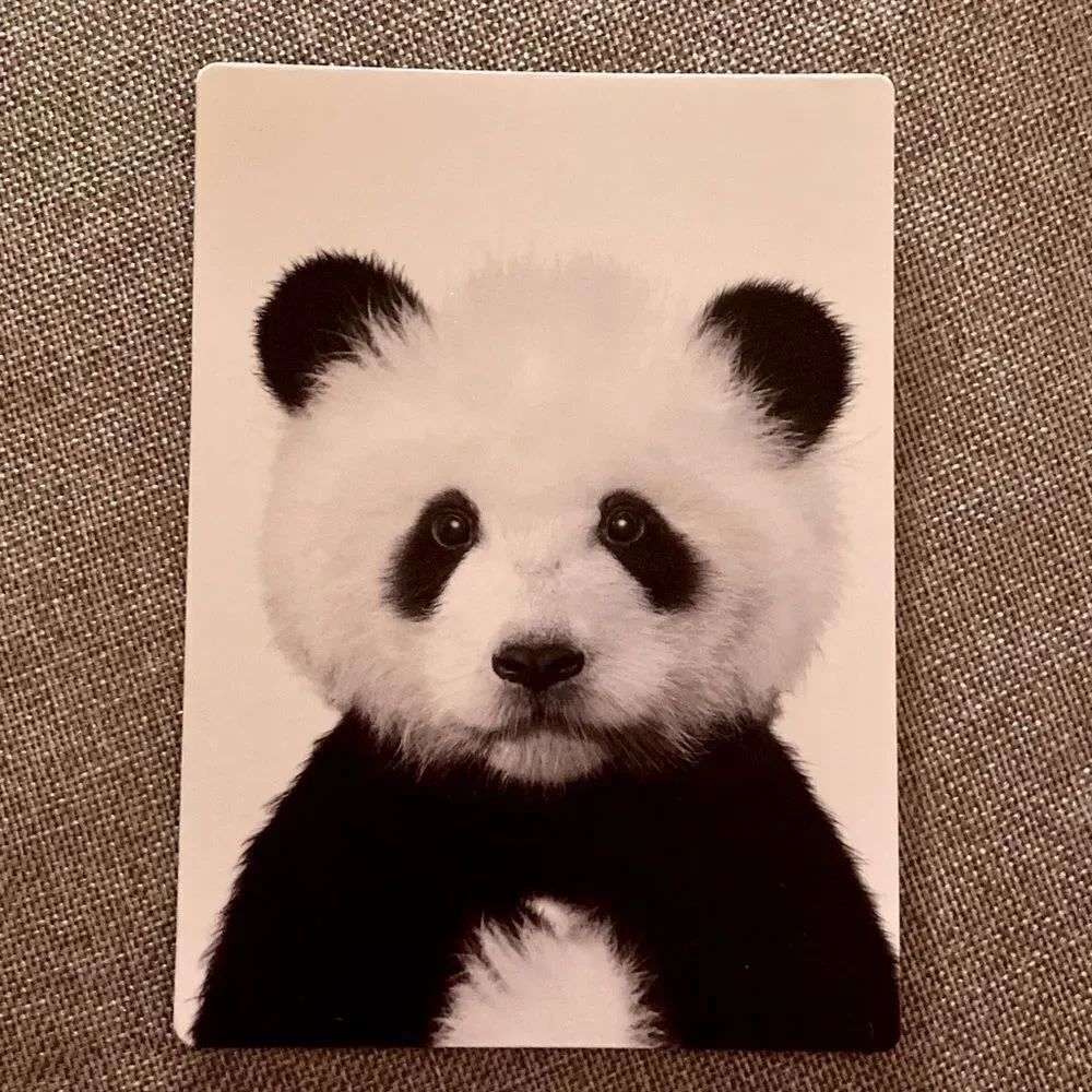 Panda Bear Magnet 🐼 - Picture 1 of 4